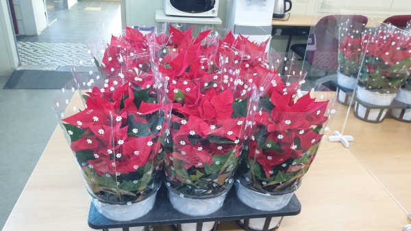 46d84f81c95a094b8114bda8dbb69fec_1639724